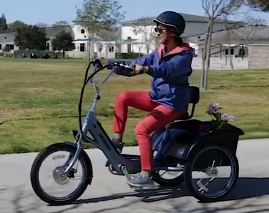 2k200430PedegoTricycle1